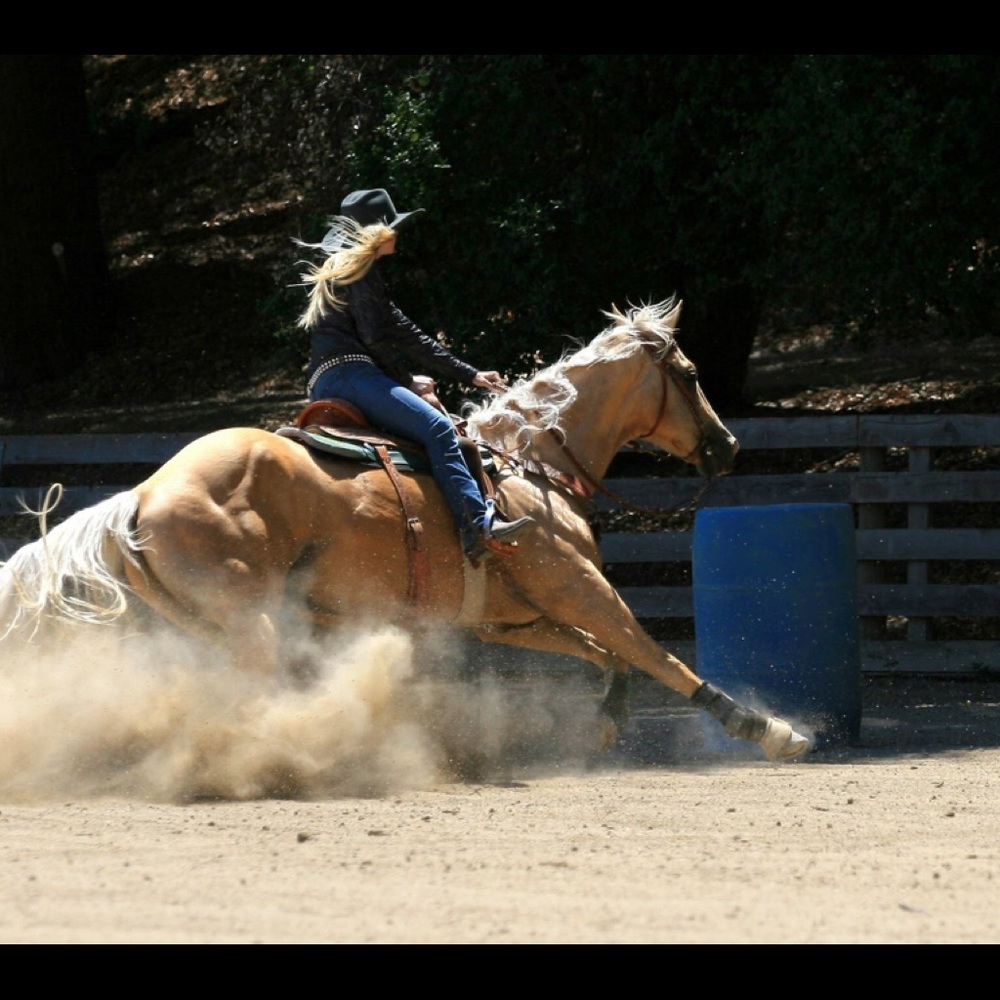 Chasing Time